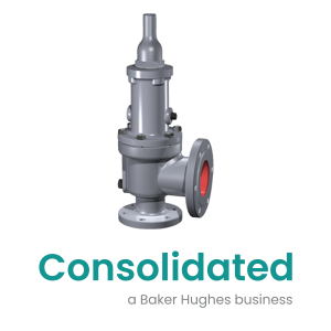 Consolidated Type 1900 Dual Media safety Releif Valve
