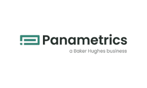 Panametrics-Logo